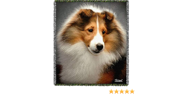 sheltie throw blanket