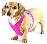 Noodle and Friends Magenta Easy-Go Sport Never-Choke Dachshund Harness