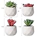 AmyHomie 15 Bundles Artificial Flowers Outdoor UV Resistant Faux Flowers No Fade Fake Plastic Plants Garden Porch Window Box Decorating ( Yellow ), 15pcs (8541836554)