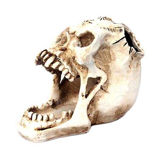 Skull Office Stationery Holder - Image 5