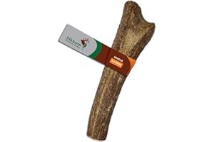 Elkhorn Premium Chews – X Large Whole Single Pack (for 50-90 lb Dogs) Premium Grade Elk Antler for Dogs (1 Piece) Sourced in The USA