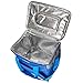 20L Portable Foldable Insulated Cooler Bag Lunch Box Picnic Organizer Box with Strong Travel Zipper for Picnics Camping Beach BBQ By Aohayo