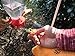 AROMA TREES Handheld Hummingbird Feeders Original Design with Perch—Pack of 5