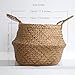 dufmod Small Natural Woven Seagrass Tote Belly Basket for Storage, Laundry, Picnic, Plant Pot Cover, and Beach Bag (Zigzag Chevron Natural Seagrass, Small)