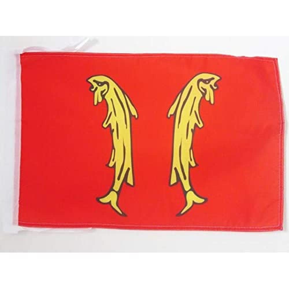 AZ FLAG - French Principality of Montbeliard Flag - 18'' x 12'' - 100% Polyester County of Montbéliard - France Small Banner with Two Cords - Fade Resistant - Vivid Colors - 18x12 in - 45x30 Cm — image 1