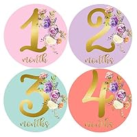 Mumsy Goose Month Stickers Baby Girl Milestone Stickers 1-12 Months Girl 1st Year Stickers Pink Gold Floral