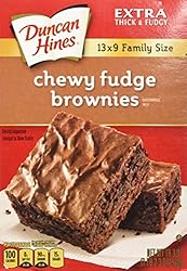 Duncan Hines Chewy Fudge Brownies 18.3oz Family