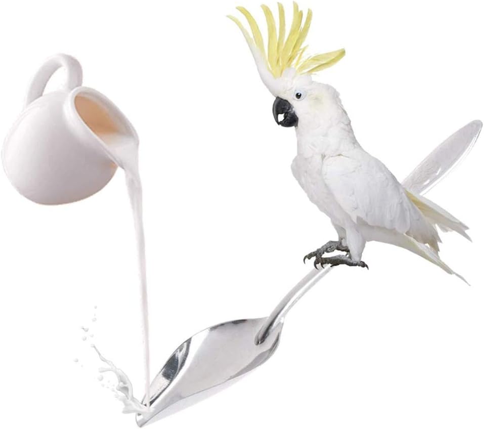 Amazon Com Popetpop Cuchara Para Alimentar Pajaros 3 Unidades Acero Inoxidable Cuchara De Leche Para Alimentar Pajaros Para Peonia Cacatua Loro Longitud 5 1 In Mascotas