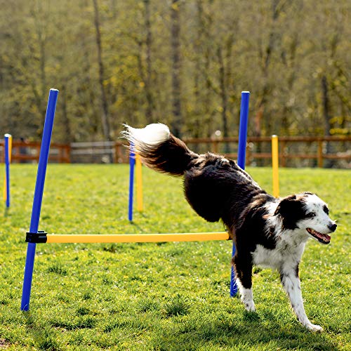 CHEERING PET Dog Agility Training Kit - 29 Piece Obstacle Course with 58.5" Long Tunnel, Adjustable Hurdles, Poles, Whistle, Rope Toy, Treat Bag - Pet Outdoor Play Equipment with Carrying Case