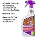 Rejuvenate Microfiber Cleaning Mop Kit, Includes Extendable Handle Mop, All Floors Cleaner and 2 Reusable Microfiber Cleaning Pads