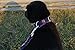hipidog Personalized Dog Collar, Custom Engraving with Pet Name and Phone Number, Adjustable Tough Nylon ID Collar, Matching Leash Available Separately (Scottish Blue)thumb 3