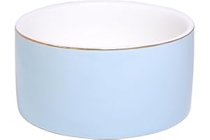 HANKOR Paper Clip Holder - Ceramic Paperclip Holders for Desk, Binder Paper Clip Dispenser Organizer (Blue)