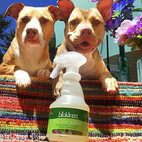 Biokleen BacOut Fresh, Fabric Refresher, EcoFriendly, NonToxic
