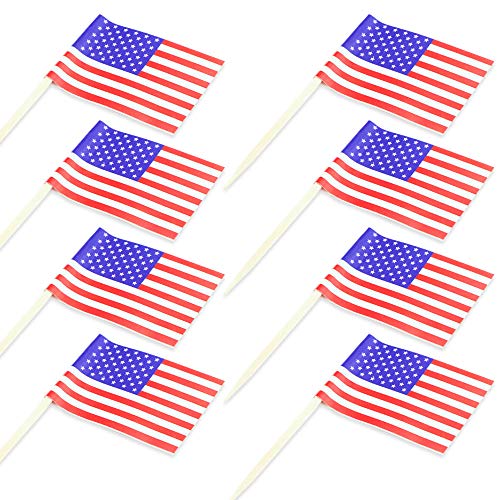 Hslife 200Pcs Different Countries World Flag Sticks Toothpick Flag Cocktail Sticks Cupcake Picks for Bar,Sports Party,Events Decoration