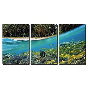 Surface and Underwater View with Beach Coconuts Trees...