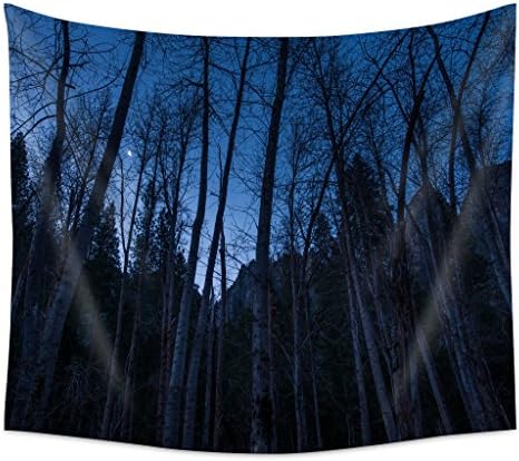 SSOIU Tapestry,A Crescent Moon Rises Above the merced Tree Forest One Side Home Decor Tapestry(51" x 60") Polyester Fabric Tapestries Wall Art Hanging Tapestry