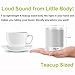 Zealot S5 Mini Portable Wireless Bluetooth Speakers, Supports Micro SD Card, USB Reader - White