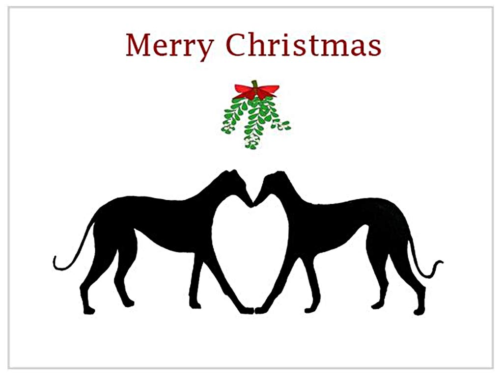 Pack of 12 - Christmas Cards (Xmas Cards) Roaching Greyhound Whippet Lurcher Italian Dog