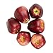 Juvale 6-Piece Fake Fruit Apples - Artificial Fruit Plastic Deep Red Apples for Still Life Paintings Storefront Decoration Kitchen Decor Red - 2.7 x 3 x 2.7 Inches