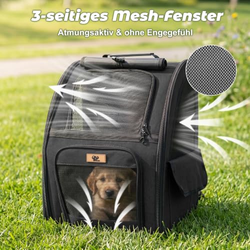 Aystkniet Cat Backpack & Dog Backpack up to 6 kg, Large Pet Transport Bag with 270° Ventilation, 3 Openings, Foldable, Breathable for Travel, Hiking, Plane & Veterinarian
