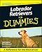 Labrador Retrievers for Dummies