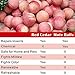 Cedar Space Cedar Blocks for Clothes Storages, 50 Pcs 100% Aromatic Red Cedar Balls, Cedar Accessories for Closets Storages