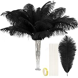 VIJIV Natural Black Large Ostrich Feathers Bulk 10