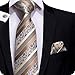 Hi-Tie 3 Pcs Mens Tie Set in Gift Box Necktie with Pocket Square and Cufflinks Silk Neck Tie Collection (T-905)