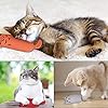Bojafa-Cat-Catnip-Toys-3-Pack-Cat-Plush-Scratch-Playing-Chewing-Teeth-Cleaning-Creative-Pillow-Scratch-Pet-Catnip-Teeth-Grinding-Chew-Toys Bojafa Cat Catnip Toys 3 Pack Interactive Cat Teeth Cleaning Plush Toys for Indoor Cats Kitten- Creative Scratch Chewing…