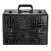Docooler Lockable Cosmetic Organizer, Box Foldable Makeup Train Storage Case Holder, 2 Layers (Black)