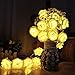 String Lights,Mulcolor 20 LED Battery Operated Rose Flower String Lights Fairy Lights for Valentine's,Wedding,Party,Indoor Decoration,Warm White