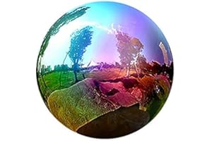 Gazing Globe, 3/4/5/6/8/10Inch Rainbow Stainless Steel Shiny Ball Gazing Balls for Gardens (10inch)