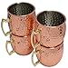 Moscow Mule Hammered Copper Drinking Cup - Set of 5
