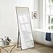 Naomi Home Modern Full Length Mirror, Large Freestanding Floor/Wall Mirror, Full Body Dressing Mirror for Bedroom, Living Room, Office 66
