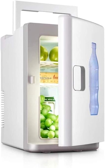 car mini refrigerator