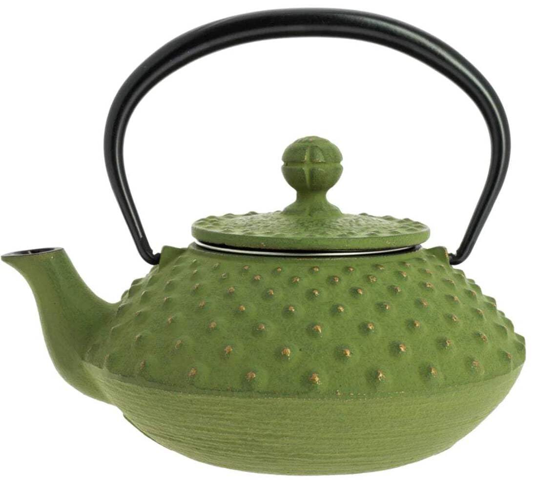 Iwachu Kanbin Cast Iron Teapot
