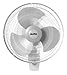 Air King 9016 Commercial Grade Oscillating Wall Mount Fan, 16-Inch