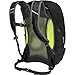 Osprey Packs Radial 34 Daypack, Black, Medium/Large