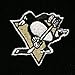 NHL Pittsburgh Penguins Basic Cuffless Knit Beanie, One Size