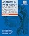 Anatomy & Physiology for Speech, Language, and Hearing