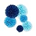 Fecedy™ 18pcs Tissue Paper Pom Poms Flower Ball for Wedding,Festival,Party Decoration (Blue)