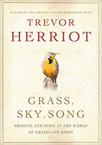 Grass, Sky, Song: Promise And Peril In World Of Grassland Birds
