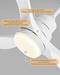 Forrovenco 52 Inch Ceiling Fans with Lights