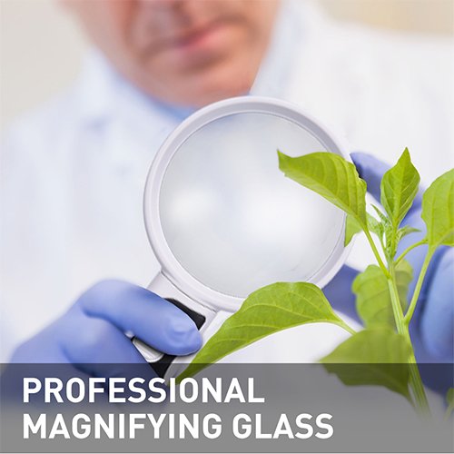 image for AMAREY LED Magnifying Glass - Lighted Magnifier Detachable Illuminated