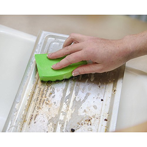 2 Lysol+Durable+Scrub+Sponges+2+Pack