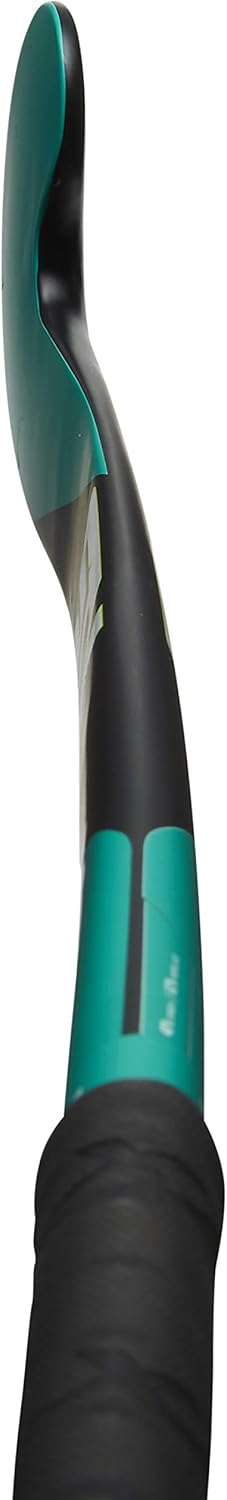 STX Field Hockey IX 401 Indoor Stick : Sports & Outdoors