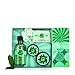 The Body Shop Fuji Green Tea Essential Selection Gift Set