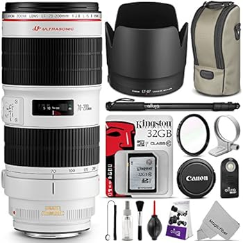 Amazon.com : Canon EF 70-200mm f/2.8L IS II USM Telephoto