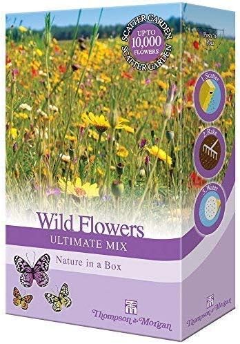 Wildflower Seeds for The Garden Perennial Annual Plants Grow Your Own UK Wild Flower Seed Mix Poppies