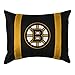 NHL Boston Bruins Sideline Sham